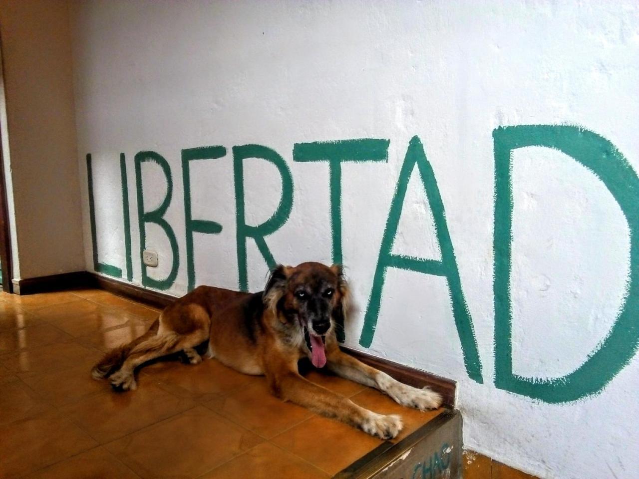 Yolo Hostel Medellin Exterior photo